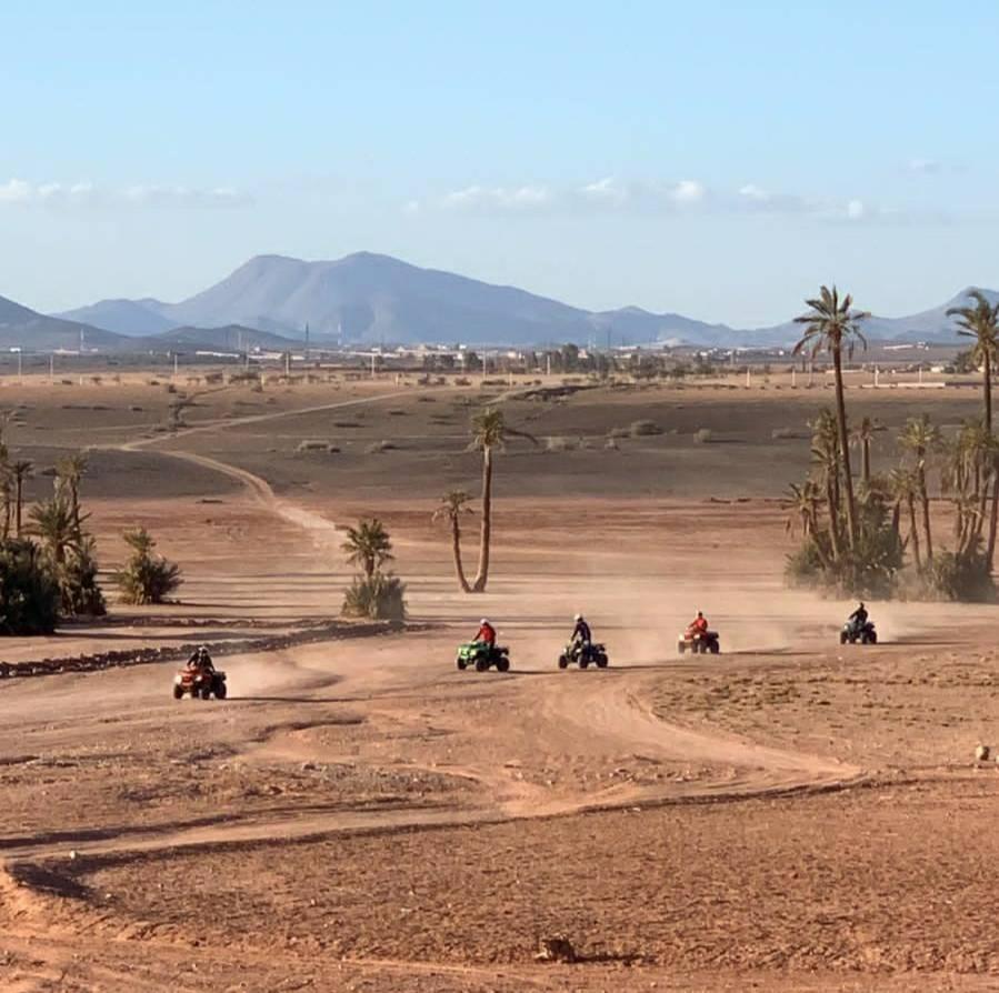 Marrakech Quad Bike Experience Desert And Palmeraie Hotel Marrakesh Buitenkant foto